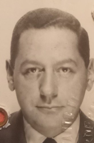 Julien HANAU