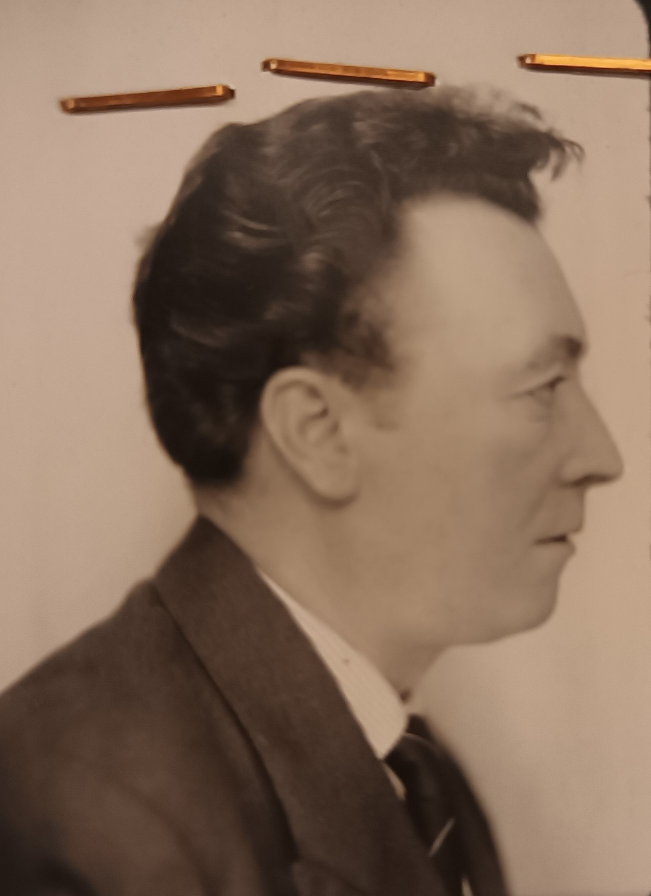 Victor TERRIZA FERNANDEZ